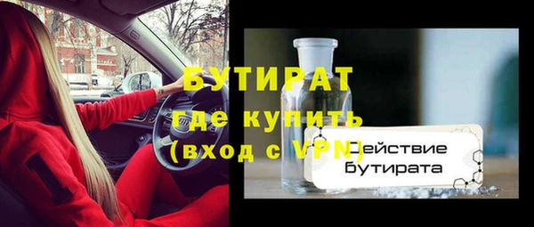 шишки Верея