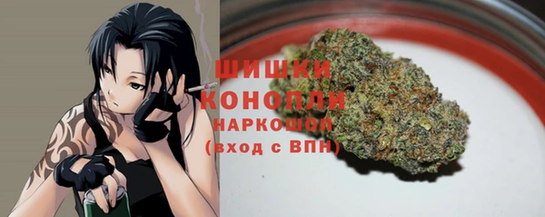 шишки Верея
