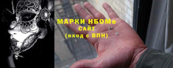 шишки Верея