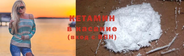 шишки Верея