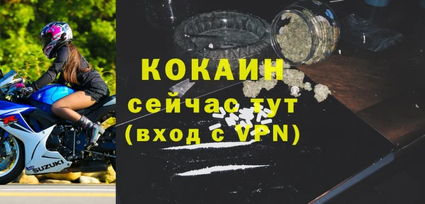 шишки Верея