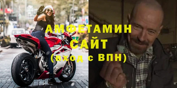 шишки Верея