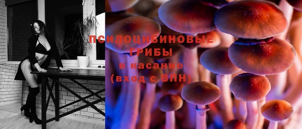 шишки Верея